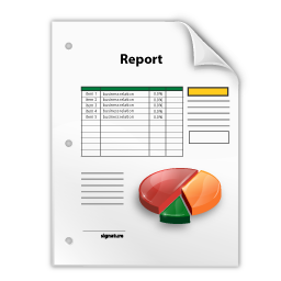report icon