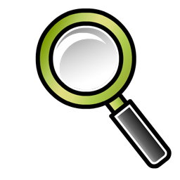 zoom icon
