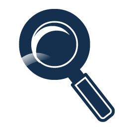 zoom icon