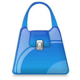 purse icon