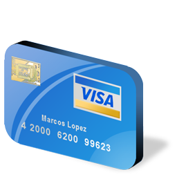 visa icon