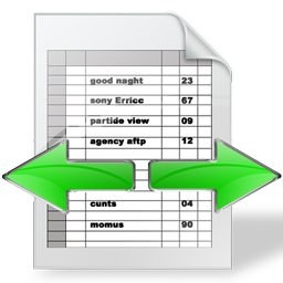 dss icon
