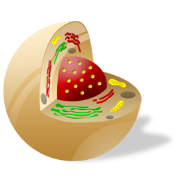 biology icon