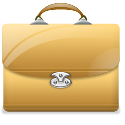 briefcase icon