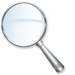 zoom icon