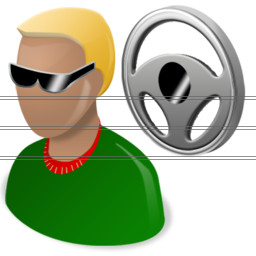 driver icon