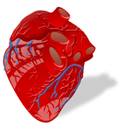 cardiology icon