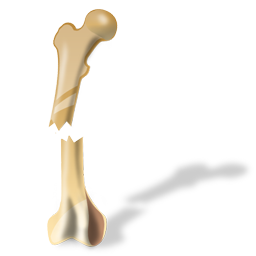 fracture icon