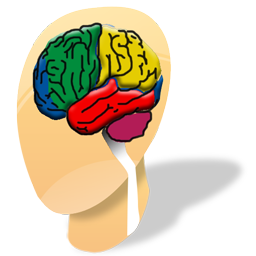 neurology icon
