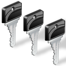 keys icon
