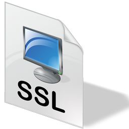 ssl icon