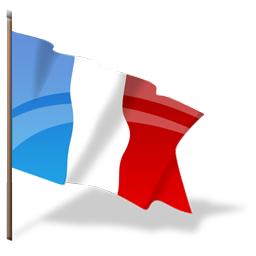 flag_france icon