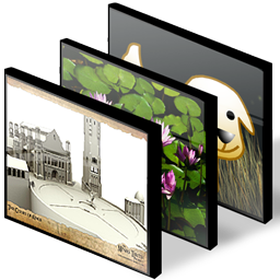 gallery icon