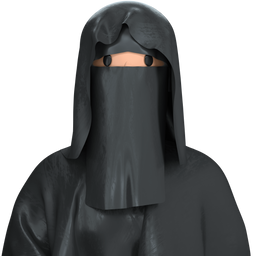burka-woman-tradition-religion-muslim_icon