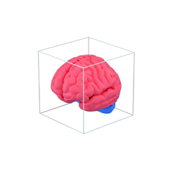 brain-mastermind-cerebrum-organ-intellectual-perspective_icon