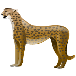 cheetah_icon