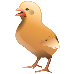 chicken_icon