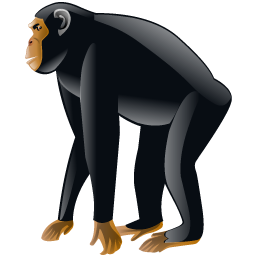 chimpanzee_icon