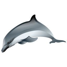dolphin_icon