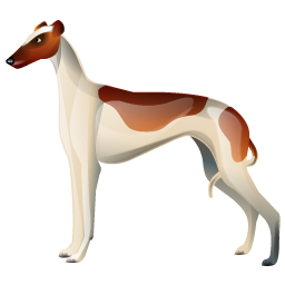 greyhound_icon