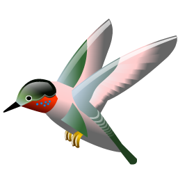 hummingbird_icon