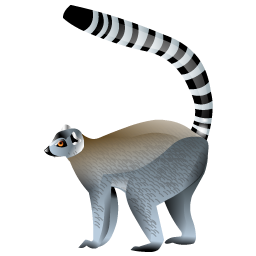 lemur_icon