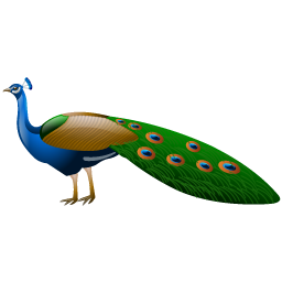 peacock_icon
