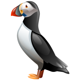 puffin_icon