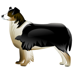 shepherd_dog_icon