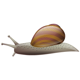 snail_icon