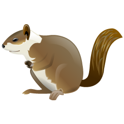 squirrel_icon