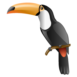 toucan_bird_icon
