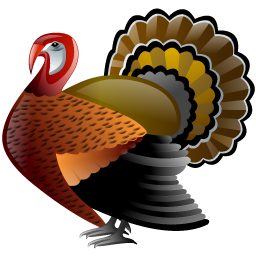 turkey_icon