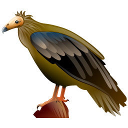 vulture_icon