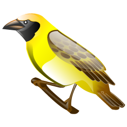 weaver_bird_icon