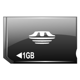 memory_stick_duo_icon