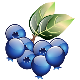 blueberries_icon
