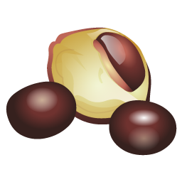 chest_nuts_icon