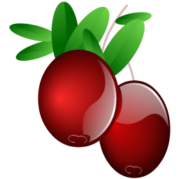 cranberries_icon