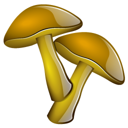 mushrooms_icon