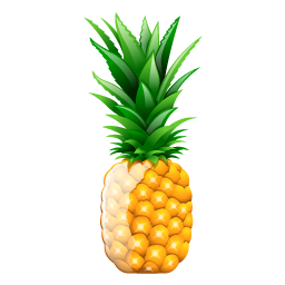 pineapple_icon