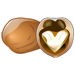 walnut_icon