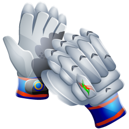 cricket_gloves_icon