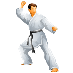 karate_icon