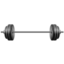 weights_icon