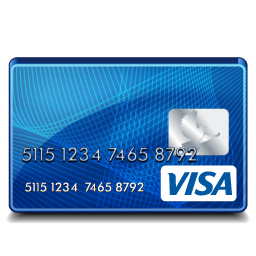 visa_standard_icon