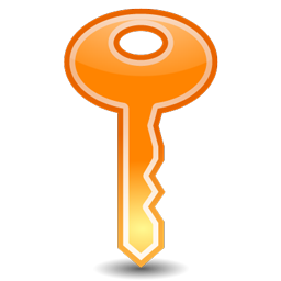 primary_key_icon