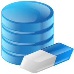 erase_database_icon