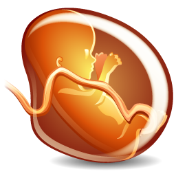 obstetrics_icon