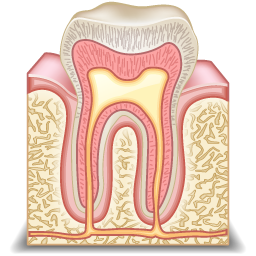 odontology_icon